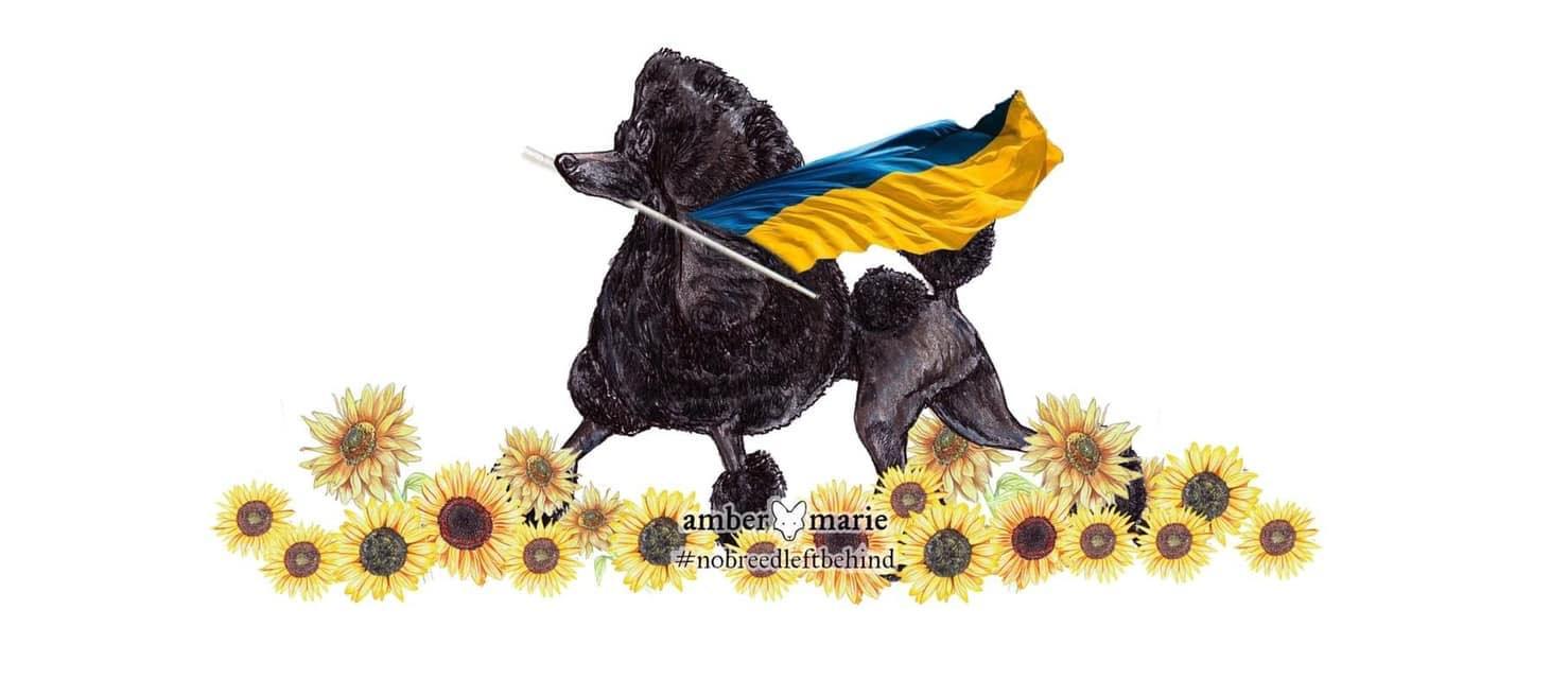 STANDARD POODLES
